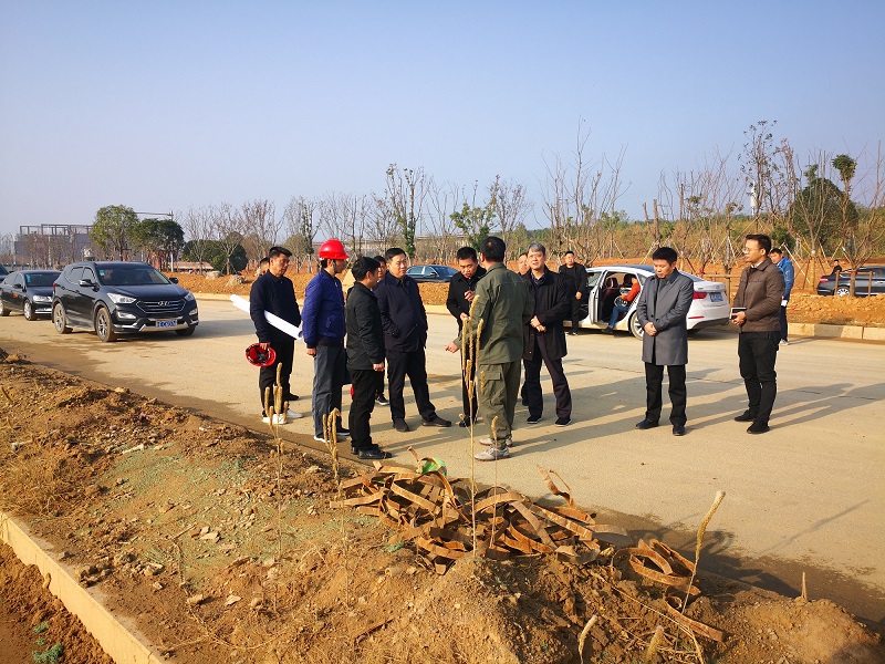 俞健调研市城投集团公司部分在建项目