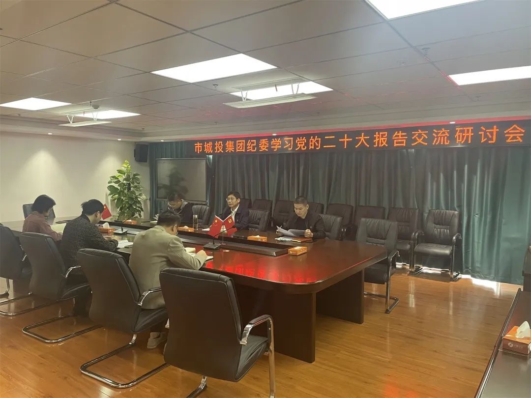 集团公司纪委召开学习党的二十大报告交流研讨会